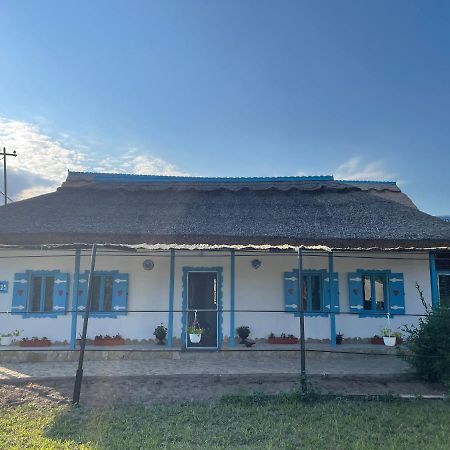 Casa Cu Stuf 무리기올 외부 사진